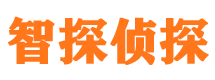 潼关市私家侦探